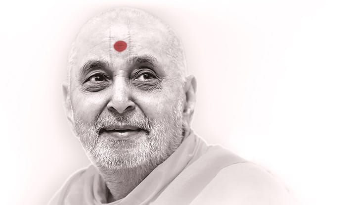God is the Doer, We Are Just an Instrument (with Pramukh Swami Maharaj’s inspiration)